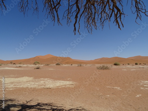 dead vlei in sossusvlei in namib desert