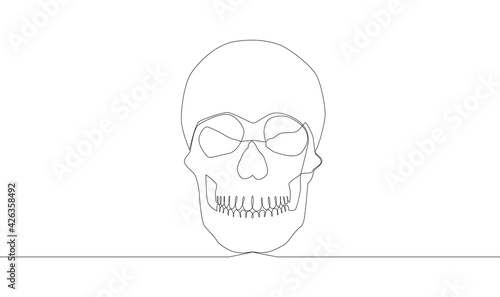 Continuous one line drawing. Abstract human skull.illustration