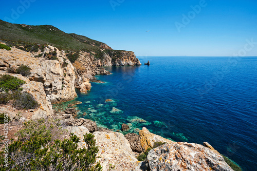 Zannone, Isole Ponziane, Latina district, Latium, Lazio, National Park of Circeo,  View of Cala delle Grottelle-Peschiera, in the foreground Erica plant at the bottom of Punta del Monaco