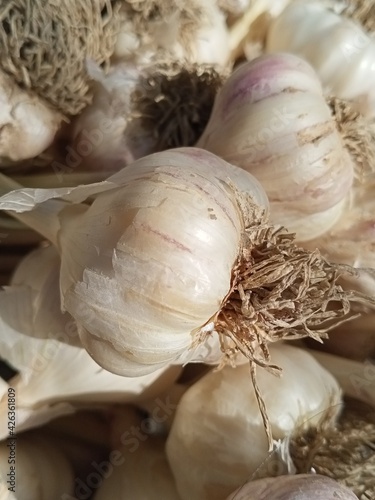 garlic and onion
