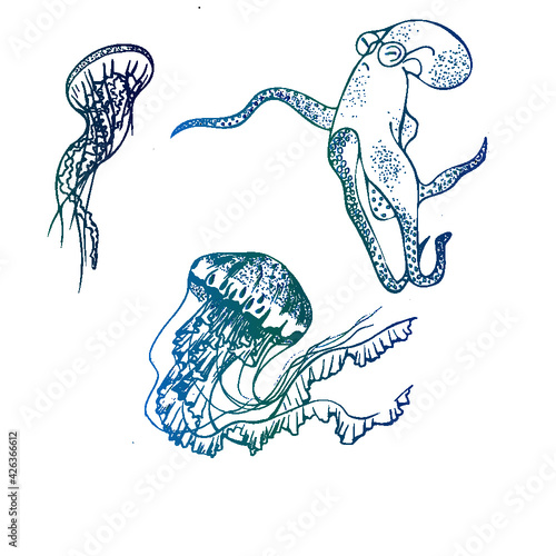 hand drawn octopus, jellyfish