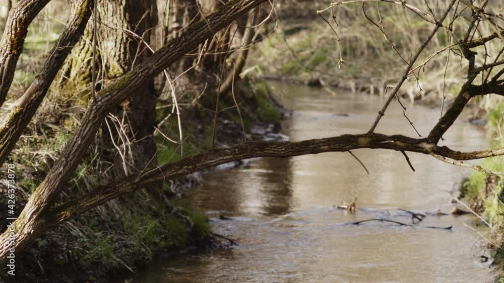 Small Mountain stream flowing down during spring season - Medium static shot Small Mountain stream flowing down during spring season - Medium static shot