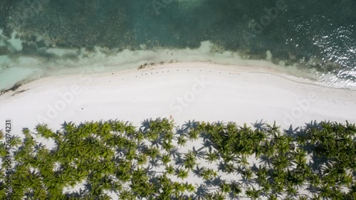 Aerial top down beach of Bohol showing white sand and palm trees on Panglao Island, Bohol, Philippines. photo