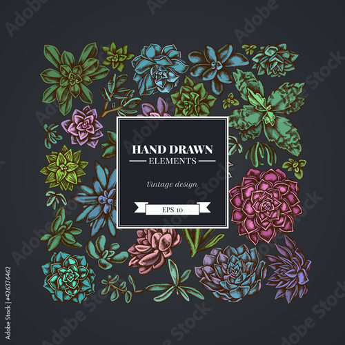 Square floral design on dark background with succulent echeveria, succulent echeveria, succulent