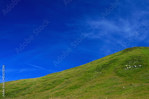 grass and blue sky