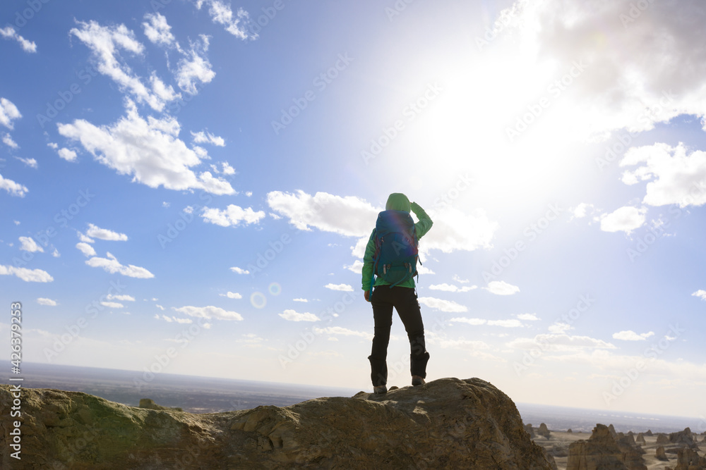 Successful woman hiker hiking on high altitude mountain top