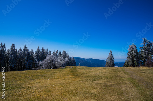 Germany, Schwarzwald black forest nature landscape view over endless green meadows, mountains and snow covered fir trees with blue sky photo