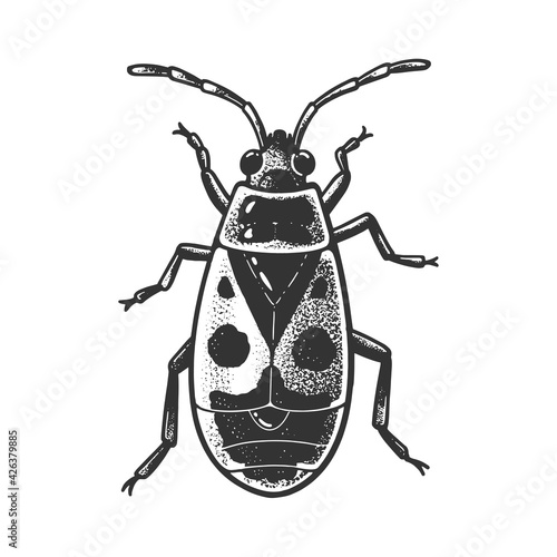 firebug beetle bug sketch engraving vector illustration. T-shirt apparel print design. Scratch board imitation. Black and white hand drawn image.