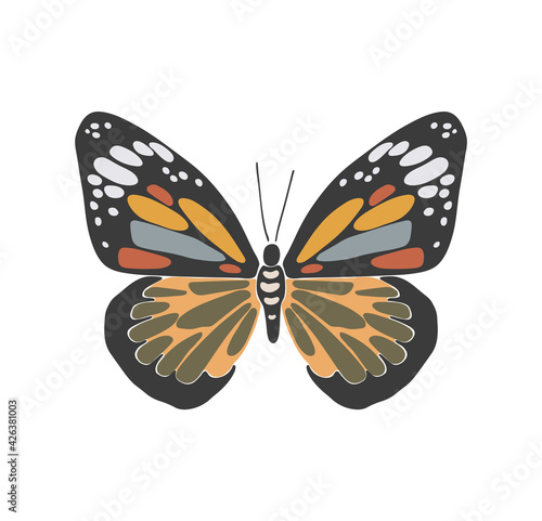 Abstract spring colorful butterfly, boho butterfly vector, isolated spring insect, nature elements, beautiful multicolour drawing buterfly, vector illustration © ElenaVector44