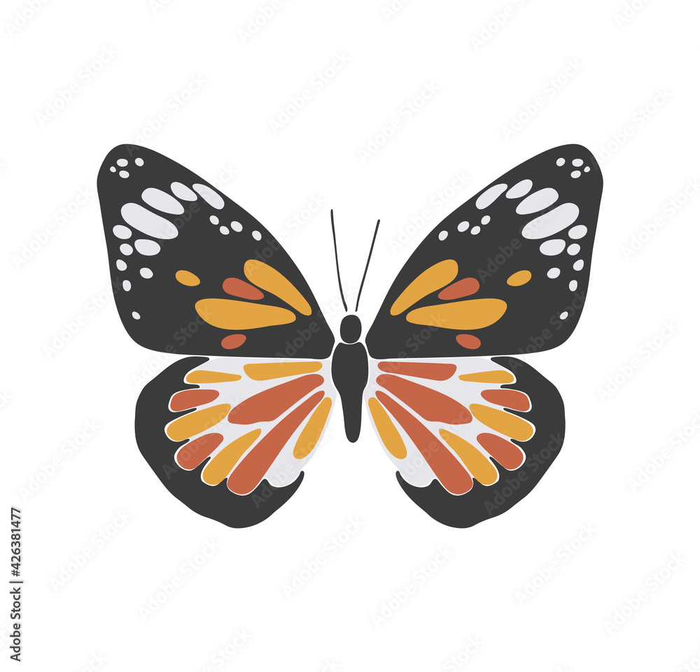 Abstract spring colorful butterfly, boho butterfly vector, isolated spring insect, nature elements, beautiful multicolour drawing buterfly, vector illustration