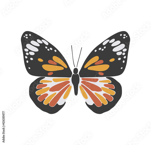 Abstract spring colorful butterfly, boho butterfly vector, isolated spring insect, nature elements, beautiful multicolour drawing buterfly, vector illustration