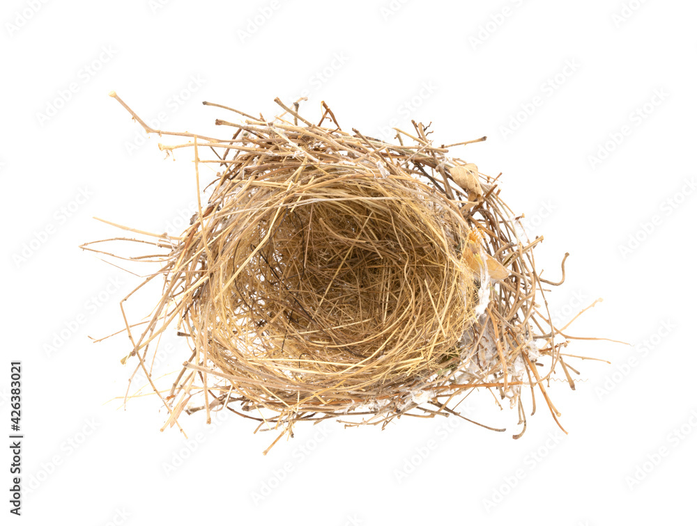 Obraz premium Bird's nest isolated on white background