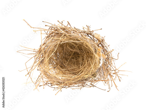 Bird's nest isolated on white background