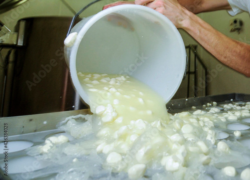 the production of cream cheese photo