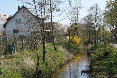 Rodau bei Ober-Roden im Fruehling