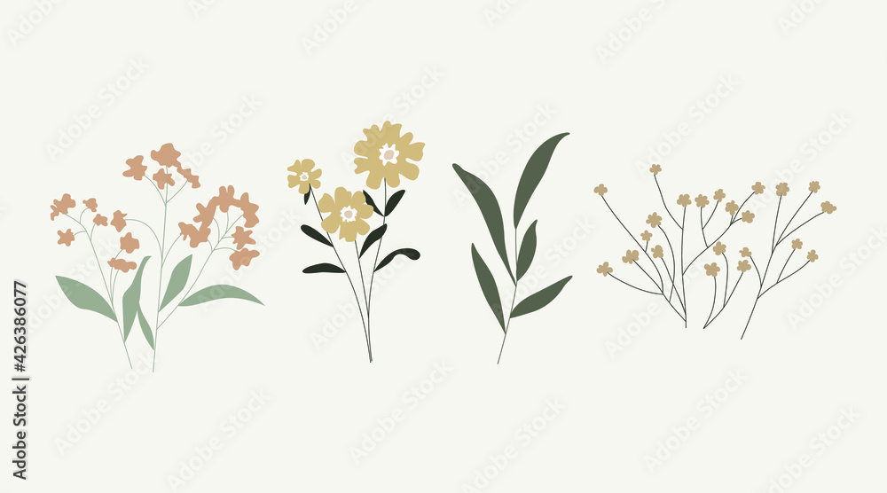 Collection of wild and garden blooming flowers isolated on bright background. Vector bundle of bouquets. Set of decorative floral design elements.