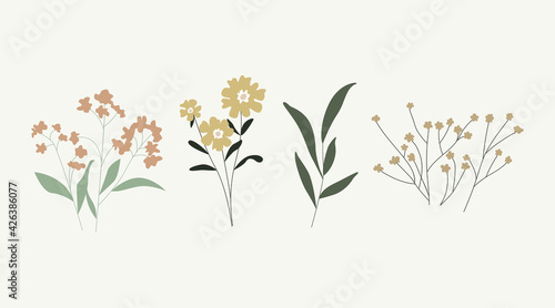 Collection of wild and garden blooming flowers isolated on bright background. Vector bundle of bouquets. Set of decorative floral design elements.