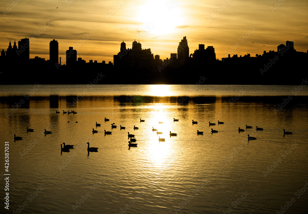 Fototapeta premium city skyline at sunset