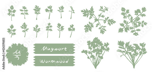 [Vector] monochromatic realistic mugwort outlines and handwriting photo