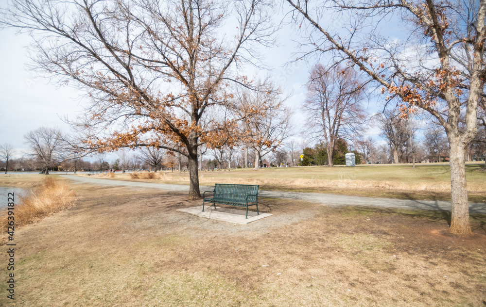 Quiet place in the park, peaceful park bench scenery
