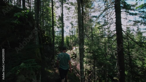 A man walk in the boreal forest photo