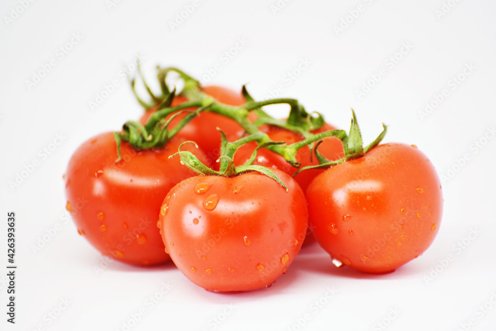Set of tomatoes on white background,photo element Set of tomatoes on white background,photo element