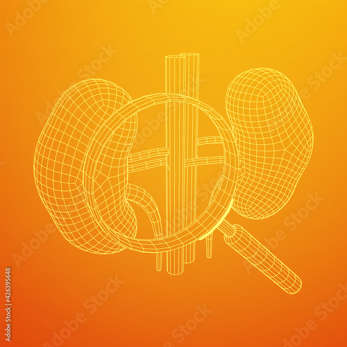 Kidneys human anatomy internal organ with magnifying glass. Medicine science technology concept. Wireframe low poly mesh vector illustration