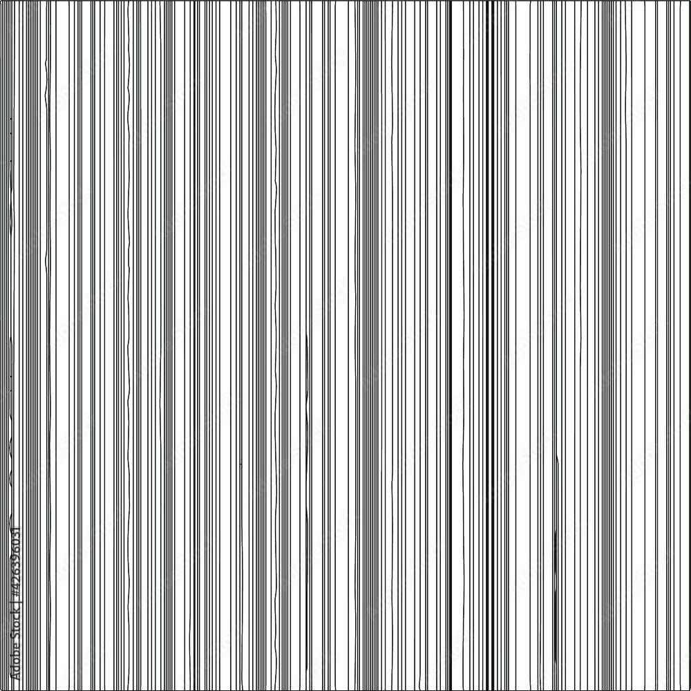 black and white stripes. black and white stripes.