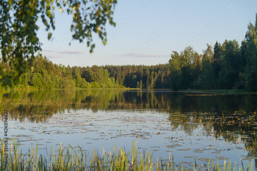 A river or lake with a calm smooth surface on a quiet summer day in the evening