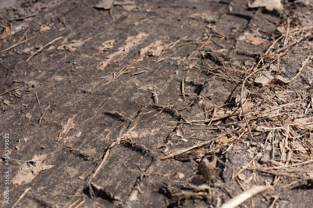 soil in the ground soil in the ground