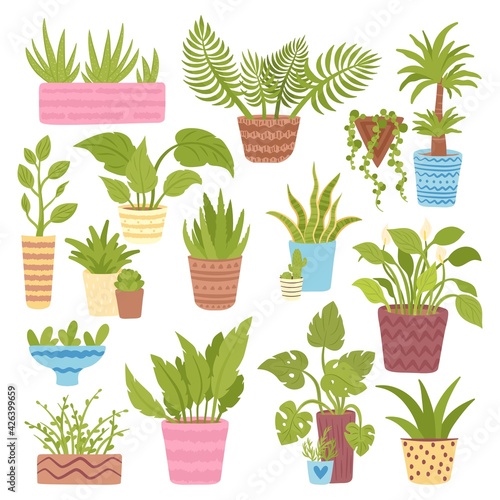 Green plant collection, floral indoor nature pot set, vector illustration. Ga...