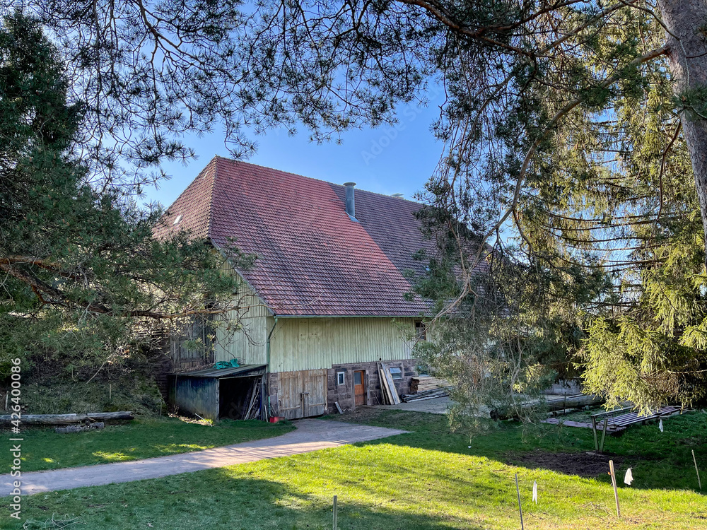 Obraz premium Schwarzwald im Frühling 2021