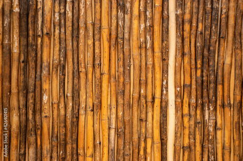 cerca de caña bambu en patrones verticales calidos