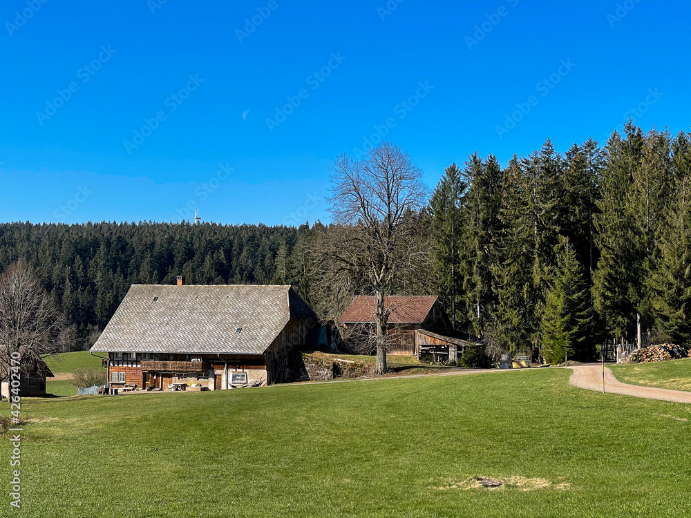 Schwarzwald im Frühling 2021 Schwarzwald im Frühling 2021