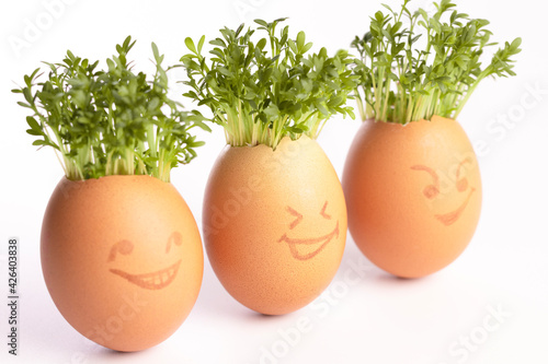 egg shells with faces drawn on, Easter eggs, Growing Cress in Egg Shells, eggheads, Eggheads With Cress hair