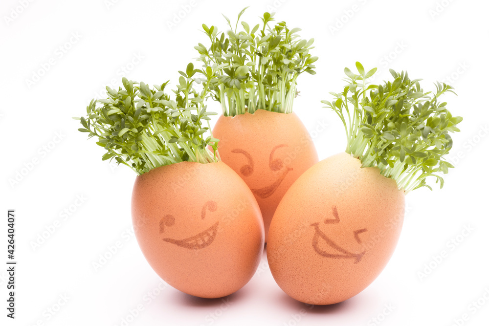 Fotografie egg shells with faces drawn on, easter eggs, fresh sprouts in an egg shell, spro