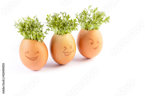 Fototapeta egg shells with faces drawn on, easter eggs, Growing Cress in Egg Shells, eggheads