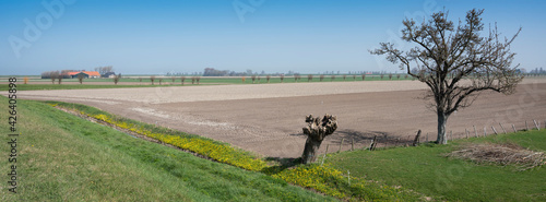 rural countryside of noord beveland in dutch province zeeland on sunny spring day photo