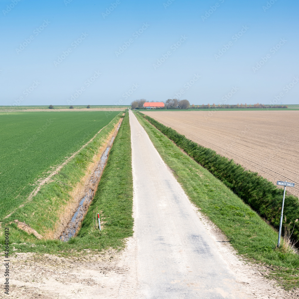 rural countryside of noord beveland in dutch province zeeland on sunny spring day