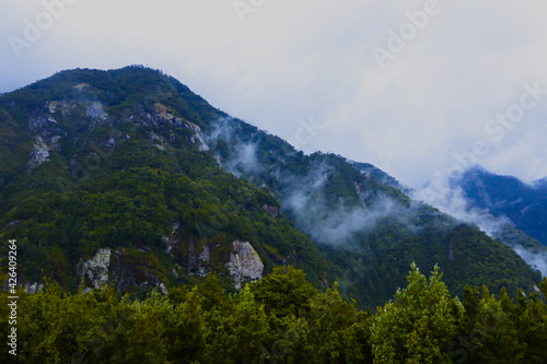 Panorama landscape of rainforest with mountains and fog. Chilean Patagonia.