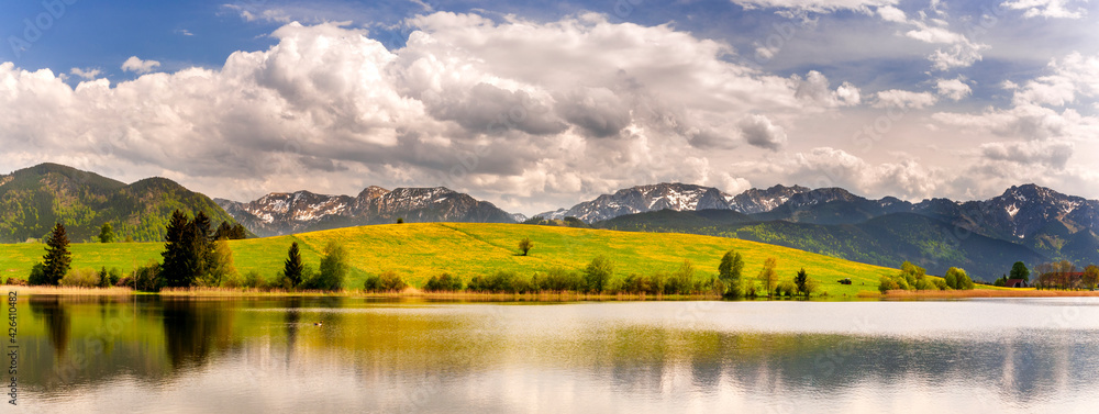 Naklejka premium beautiful rural landscape in Bavaria with mountain range and meadow at springtime