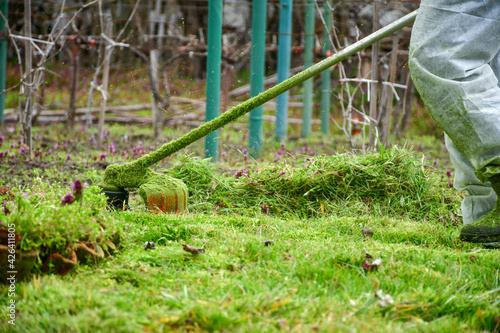  A man in work clothes mows tall grass with a trimmer,hand-held lawn mower in the garden Gardener mowing the long grass on the lawn in the garden.