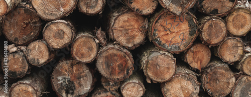 Fototapeta Naklejka Na Ścianę i Meble -  abstract, age, background, background pattern, beige, brown, chopped off, circle, cut, deforestation, design, earth, ecology, environment, firewood, forest, forestry, fuel, industry, life, log, lumber