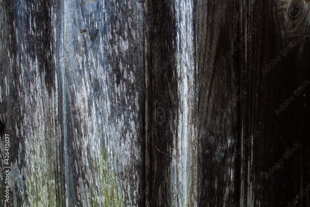 Obraz premium Old distressed wooden texture