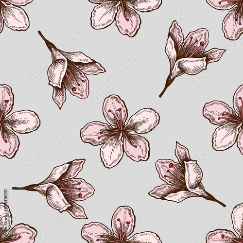 Seamless pattern with hand drawn colored plum flowers