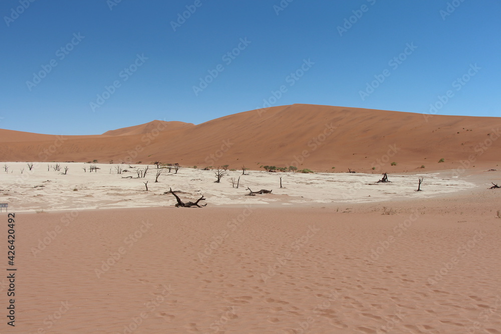 dead vlei in sossusvlei in namibia with nobody dead vlei in sossusvlei in namibia with nobody