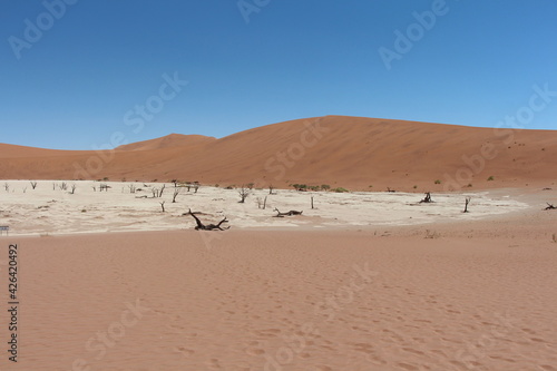 dead vlei in sossusvlei in namibia with nobody