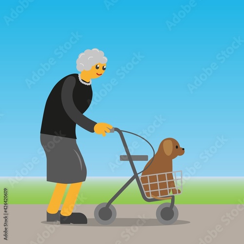 Senior lady taking a walk with her dog and walking rollator.