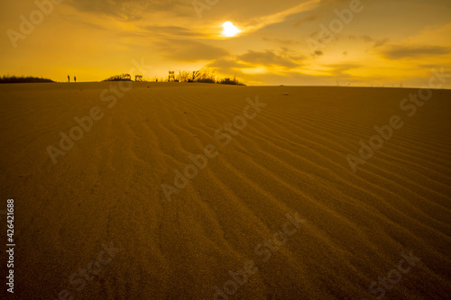 Beautiful view of Sand Dunes at dawn  Gumuk Pasir  at Parang Kesumo  Jogjakarta  Indonesia