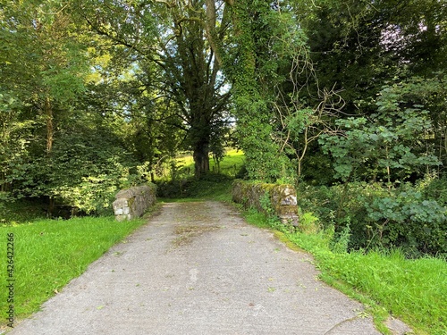 Narrow country lane,(cul de sac) leading from, Hellifeld Road, with an old stone bridge, and trees in, Bolton by Bowland, Clitheroe, UK